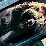 Нарды под стеклом «Хозяин тайги» — фотография 4