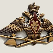 Резной герб МТО ВС РФ из бука — фотография 2