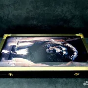 Нарды под стеклом «Золотой лев» — фотография 6