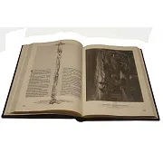 Библия в гравюрах Гюстава Доре — книга в кожаном переплёте — фотография 2