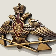 Резной герб МТО ВС РФ из бука — фотография 3