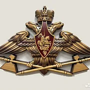 Резной герб МТО ВС РФ из бука — фотография 1