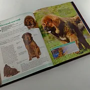 Книга "Собаки" — книга для мужчины — фотография 5
