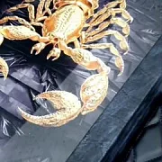 Нарды под стеклом «Скорпион» — фотография 1