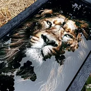 Нарды под стеклом «Лев» — фотография 5